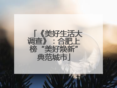 《美好生活大调查》：合肥上榜“美好焕新”典范城市
