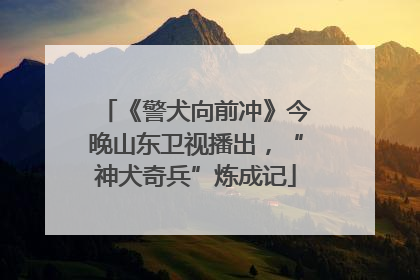 《警犬向前冲》今晚山东卫视播出，“神犬奇兵”炼成记