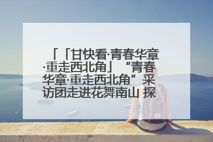 「甘快看·青春华章·重走西北角」“青春华章·重走西北角”采访团走进花舞南山 探寻天水乡村振兴之路
