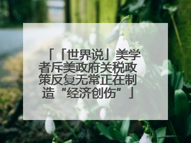 「世界说」美学者斥美政府关税政策反复无常正在制造“经济创伤”