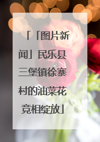 「图片新闻」民乐县三堡镇徐寨村的油菜花竞相绽放