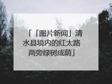 「图片新闻」清水县境内的红太路两旁绿树成荫