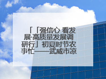 「强信心 看发展·高质量发展调研行」初夏时节农事忙——武威市凉州区推进高标准农田建设见闻