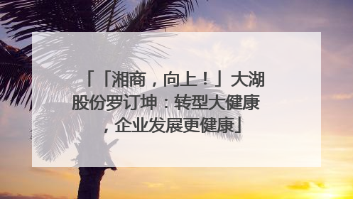 「湘商，向上！」大湖股份罗订坤：转型大健康，企业发展更健康