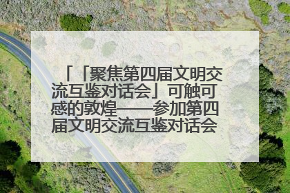 「聚焦第四届文明交流互鉴对话会」可触可感的敦煌——参加第四届文明交流互鉴对话会的外宾参观上元市集