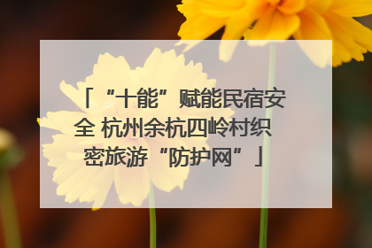 “十能”赋能民宿安全 杭州余杭四岭村织密旅游“防护网”