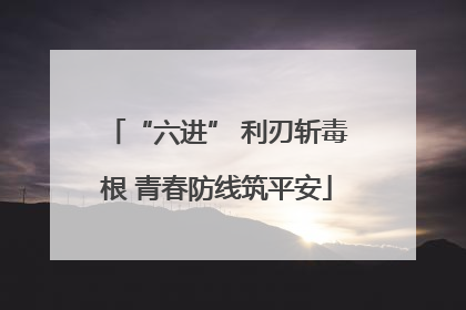 “六进” 利刃斩毒根 青春防线筑平安