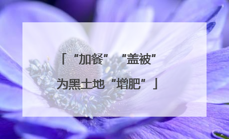 “加餐”“盖被” 为黑土地“增肥”
