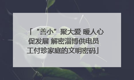“善小”聚大爱 暖人心 促发展 解密淄博供电员工付珍家庭的文明密码