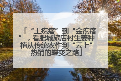 “土疙瘩”到“金疙瘩”，看肥城旅店村生姜种植从传统农作到“云上”热销的蝶变之路