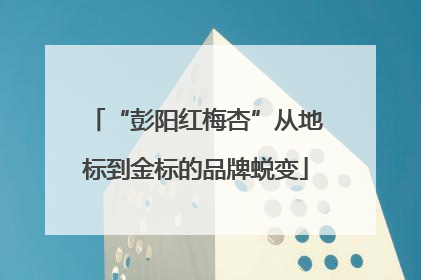 “彭阳红梅杏”从地标到金标的品牌蜕变
