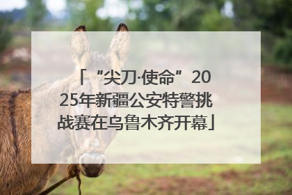 “尖刀·使命”2025年新疆公安特警挑战赛在乌鲁木齐开幕