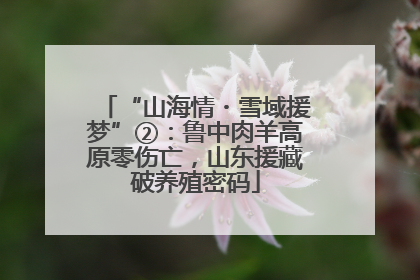 “山海情・雪域援梦”②：鲁中肉羊高原零伤亡，山东援藏破养殖密码