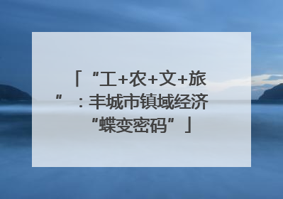 “工+农+文+旅”：丰城市镇域经济“蝶变密码”