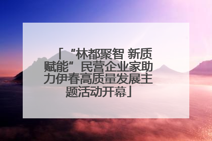 “林都聚智 新质赋能”民营企业家助力伊春高质量发展主题活动开幕