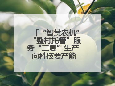 “智慧农机”“整村托管”服务“三夏”生产 向科技要产能筑牢丰产基础