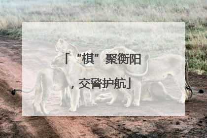 “棋”聚衡阳，交警护航
