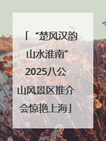 “楚风汉韵 山水淮南”2025八公山风景区推介会惊艳上海
