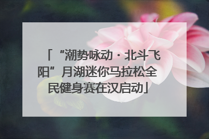 “潮势咏动・北斗飞阳”月湖迷你马拉松全民健身赛在汉启动