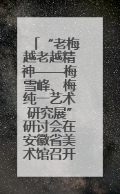 “老梅越老越精神——梅雪峰、梅纯一艺术研究展”研讨会在安徽省美术馆召开