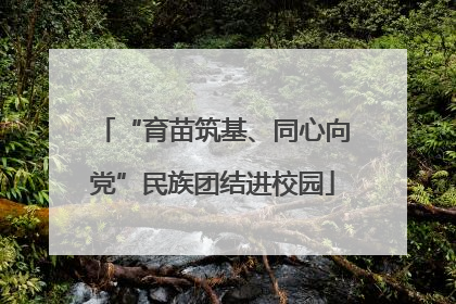 “育苗筑基、同心向党”民族团结进校园