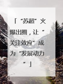 “苏超”火爆出圈，让“关注效应”成为“发展动力”
