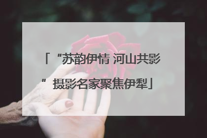 “苏韵伊情 河山共影”摄影名家聚焦伊犁