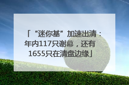 “迷你基”加速出清：年内117只谢幕，还有1655只在清盘边缘