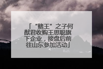 “赌王”之子何猷君收购王思聪旗下企业，接盘后前往山东参加活动