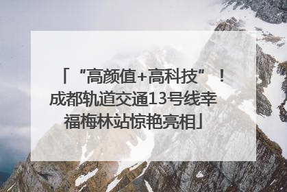 “高颜值+高科技”！成都轨道交通13号线幸福梅林站惊艳亮相