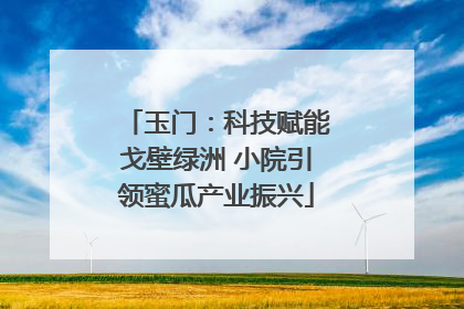 玉门：科技赋能戈壁绿洲 小院引领蜜瓜产业振兴