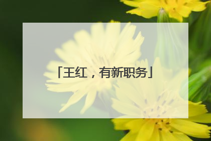 王红，有新职务