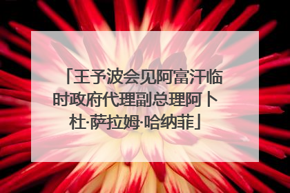 王予波会见阿富汗临时政府代理副总理阿卜杜·萨拉姆·哈纳菲