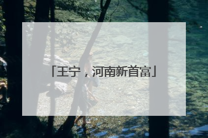 王宁，河南新首富