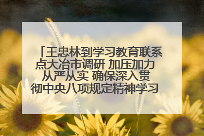 王忠林到学习教育联系点大冶市调研 加压加力 从严从实 确保深入贯彻中央八项规定精神学习教育取得实效