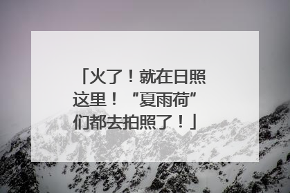 火了！就在日照这里！“夏雨荷”们都去拍照了！