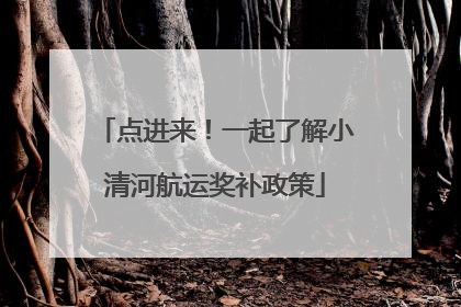 点进来！一起了解小清河航运奖补政策
