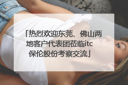 热烈欢迎东莞、佛山两地客户代表团莅临itc保伦股份考察交流