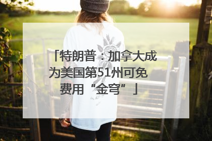 特朗普：加拿大成为美国第51州可免费用“金穹”