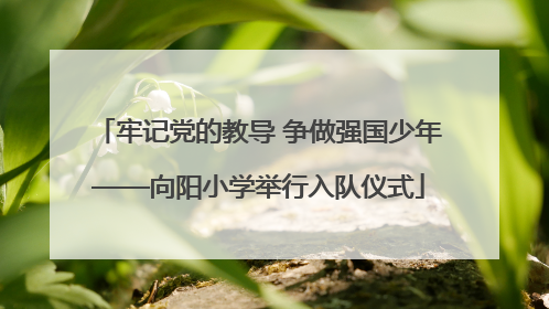 牢记党的教导 争做强国少年——向阳小学举行入队仪式