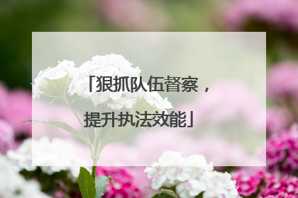 狠抓队伍督察，提升执法效能