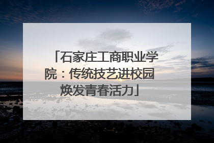 石家庄工商职业学院：传统技艺进校园焕发青春活力