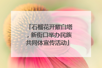 石榴花开耀白塔，新街口举办民族共同体宣传活动