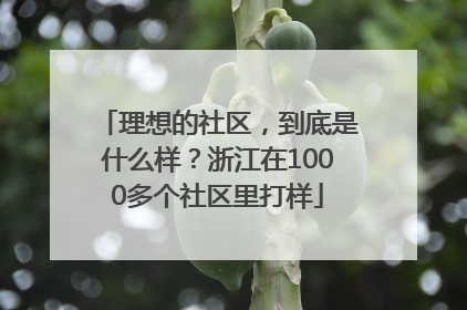 理想的社区，到底是什么样？浙江在1000多个社区里打样
