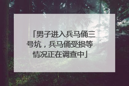 男子进入兵马俑三号坑，兵马俑受损等情况正在调查中