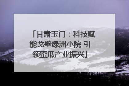 甘肃玉门：科技赋能戈壁绿洲小院 引领蜜瓜产业振兴