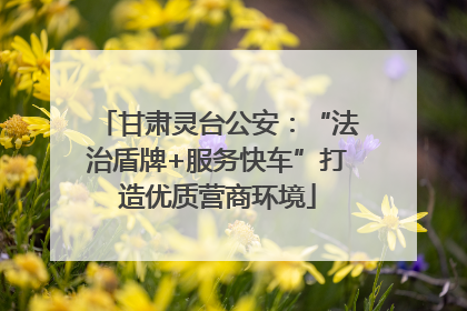 甘肃灵台公安：“法治盾牌+服务快车”打造优质营商环境