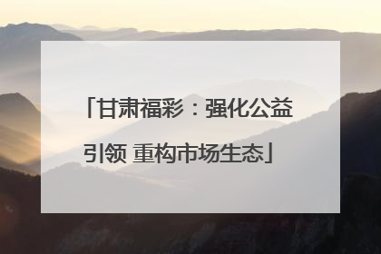 甘肃福彩：强化公益引领 重构市场生态