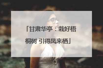 甘肃华亭：栽好梧桐树 引得凤来栖