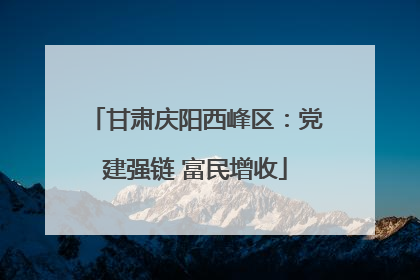 甘肃庆阳西峰区：党建强链 富民增收